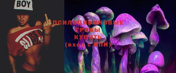 прущая мука Магадан