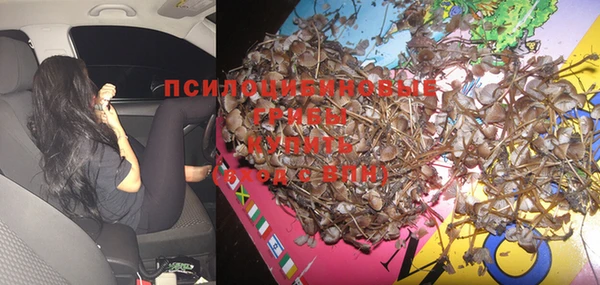 прущая мука Магадан