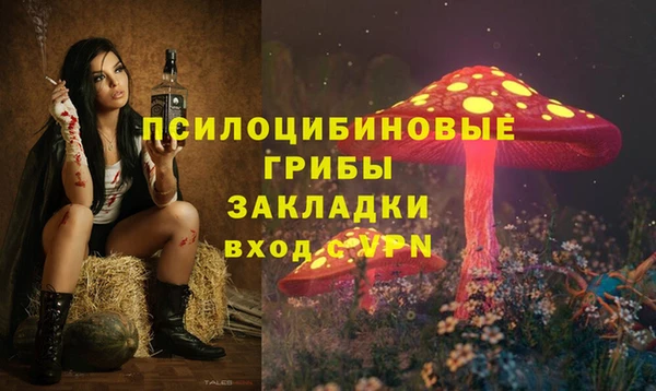 прущая мука Магадан
