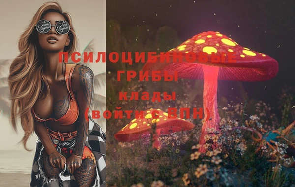 мяу мяу мука Майский