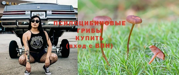 прущая мука Магадан