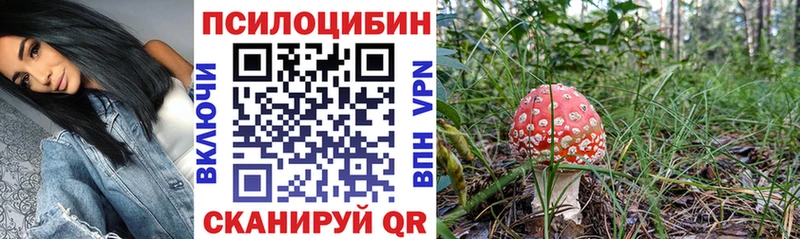 ОМГ ОМГ ТОР  Дыгулыбгей  Галлюциногенные грибы Psilocybe  цена  